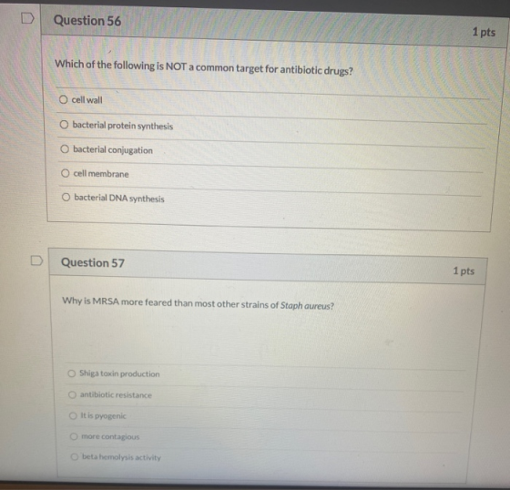Question 56 1 pts Which of the following is NOT a common target for antibiotic drugs? cell wall O bacterial protein synthesis