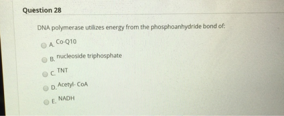 Question 28 DNA polymerase utilizes energy from the phosphoanhydride bond of: O A. Co-Q10 B. nucleoside triphosphate C TNT D.
