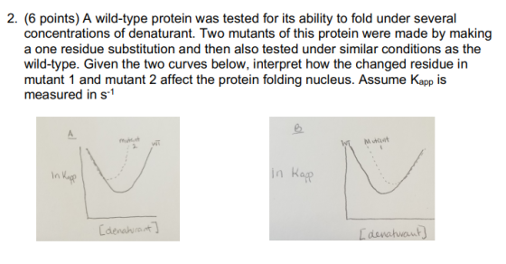 2. (6 points) A wild-type protein was tested for its ability to fold under several concentrations of denaturant. Two mutants