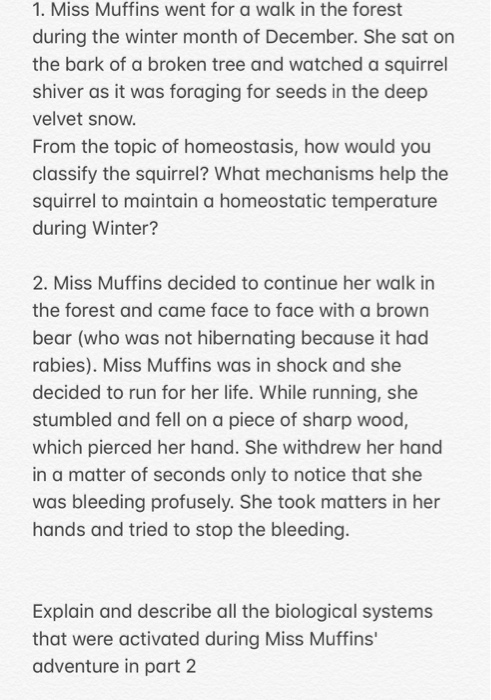 1. Miss Muffins went for a walk in the forest during the winter month of December. She sat on the bark of a broken tree and w