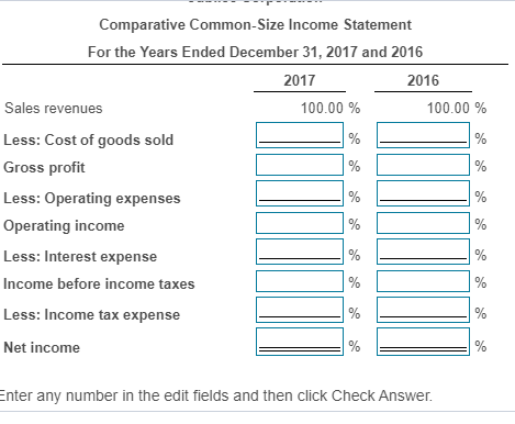 Comparative Common-Size Income Statement For the Years Ended December 31, 2017 and 2016 2016 2017 Sales revenues 100.00 % 100