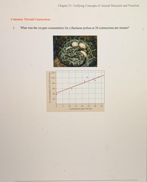 Chapter 21: Unifying Concepts of Animal Structure and Function Common Thread Connection: 1. What was the oxygen consumption f