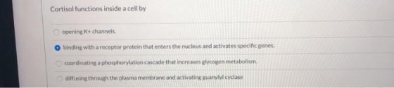 Cortisol functions inside a cell by opening K+ channels. binding with a receptor protein that enters the nucleus and activate