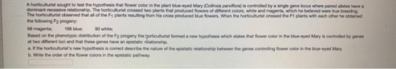 A horticulturist sought to test the hypothesis that flower bolor in the plant blue-eyed Mary Collins parviflorais controlled