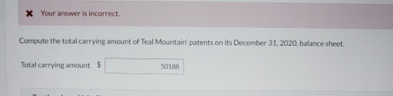 x Your answer is incorrect. Compute the total carrying amount of Teal Mountain patents on its December 31, 2020, balance she