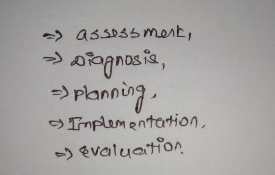 ass0ssmont, 1 plann Implementeation -)Evaluation
