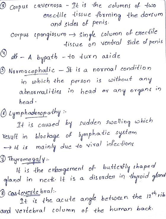 - Corpus cavernosa - It is the columns of two erectile tissue forming the dorsum and sides of penis. Corpus spongiosum → Sing