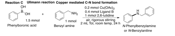 Reaction C Ullmann reaction Copper mediated C-N bond formation он 0.2 mmol Cu(OAc)2 0.4 mmol Ligand B 21 mmol 2,6-lutidine NH2 1.5 mmol 1 mmolair, rigorous stirring 2 mL Tol, room temp, 24 h Phenylboronic acid Benzyl amine N-Phenylbenzylamine or N-Benzylaniline