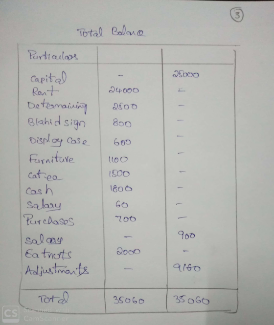 25000 1 1 1 Total Balance Particulars Capital Rent 24000 Determaining 2800 Blahidsign 800 Display Case 6oo Furniture 1100 cat