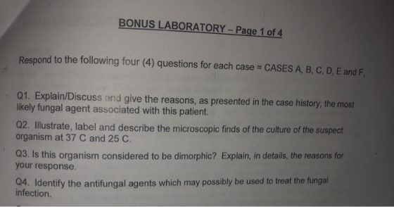 BONUS LABORATORY- Page 1 of 4 Respond to the following four (4) questions for each case CASES A, B, C, D, E and F Q1. Explain