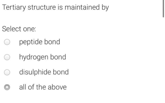 Tertiary structure is maintained by Select one: o peptide bond o hydrogen bond o disulphide bond o all of the above