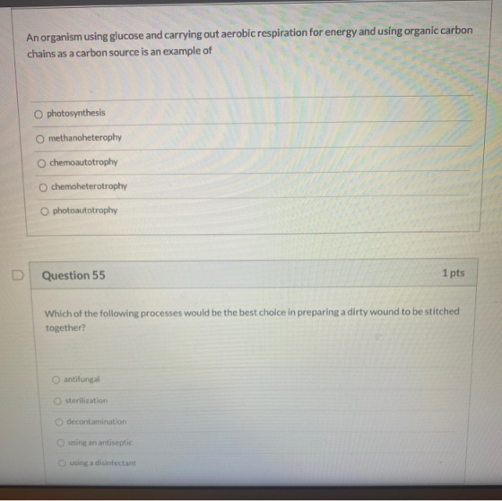 An organism using glucose and carrying out aerobic respiration for energy and using organic carbon chains as a carbon source