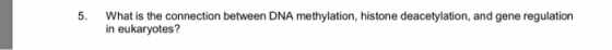 5. What is the connection between DNA methylation, histone deacetylation, and gene regulation in eukaryotes?