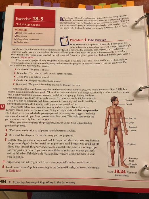 Exercise 18-5 Clinical Applications Knowledge of blood ves t for many differe cal applications. Here w e r e pule pale and 20