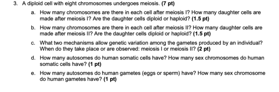 3. A diploid cell with eight chromosomes undergoes meiosis. (7 pt) a. How many chromosomes are there in each cell after meios
