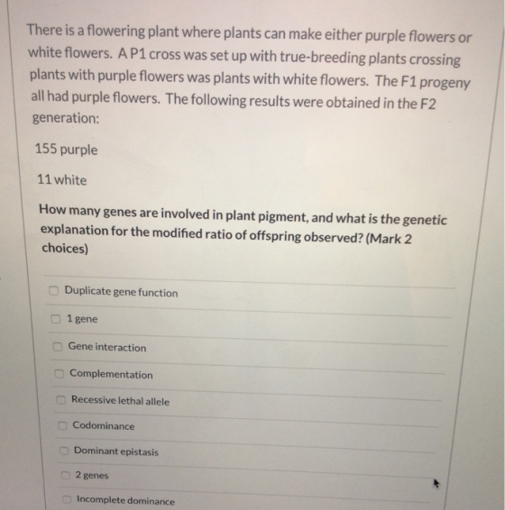 There is a flowering plant where plants can make either purple flowers or white flowers. A P1 cross was set up with true-bree