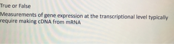 True or False Measurements of gene expression at the transcriptional level typically require making cDNA from mRNA