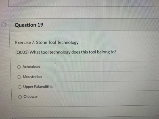 D Question 19 Exercise 7: Stone Tool Technology (Q003) What tool technology does this tool belong to? Acheulean O Mousterian