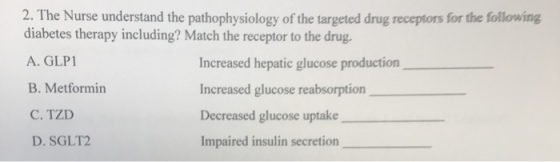 2. The Nurse understand the pathophysiology of the targeted drug receptors for the following diabetes therapy including? Matc