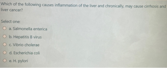 Which of the following causes inflammation of the liver and chronically, may cause cirrhosis and liver cancer? Select one: O