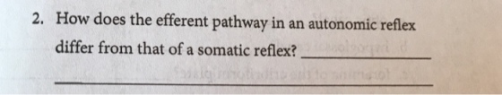 How does the efferent pathway in an autonomic reflex differ from that of a somatic reflex? 2.