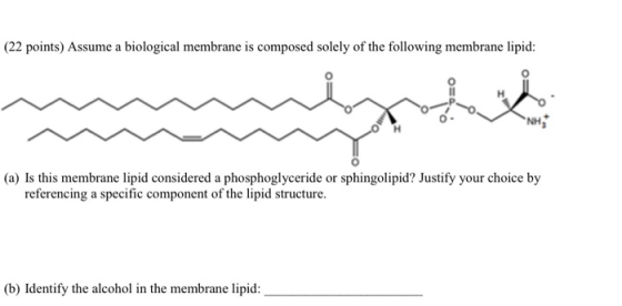 (22 points) Assume a biological membrane is composed solely of the following membrane lipid: OH (a) Is this membrane lipid co