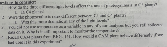 estions to consider: 1. How do the three different light levels affect the rate of photosynthesis in C3 plants? a. In C4 plan