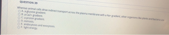 QUESTION 39 Whereas animal cells drive indirect transport across the plasma membrane with a Na+ gradient, other organisms lik