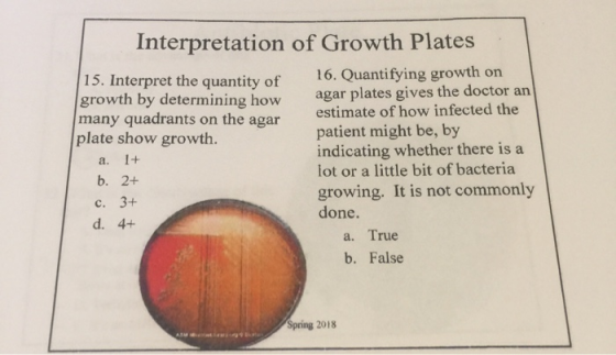 Interpretation of Growth Plates 16. Quantifying growth on agar plates gives the doctor an estimate of how infected the patien