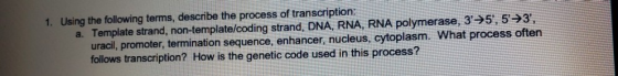 1. Using the following terms, describe the process of transcription a. Template strand, non-template/coding strand, DNA, RNA, RNA polymerase, 3 5, 5 3, uracil, promoter, termination sequence, enhancer, nucleus, cytoplasm. What process often follows transcription? How is the genetic code used in this process ?