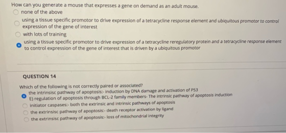 How can you generate a mouse that expresses a gene on demand as an adult mouse. none of the above using a tissue specific pro
