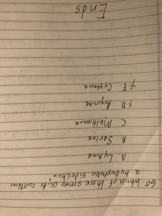G in h Serine ipnire XD ginude су 9tene Tein- Ends