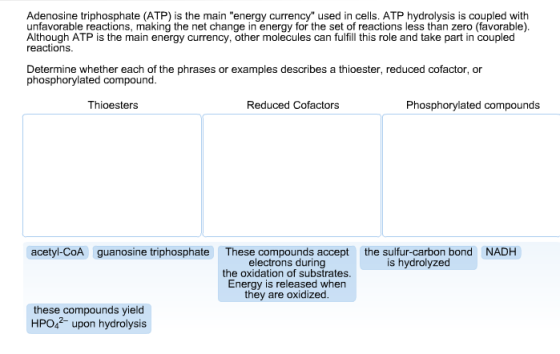 Adenosine triphosphate (ATP) is the main