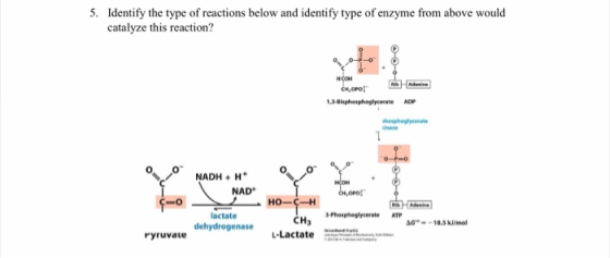 Identify the type of reactions below and identify type of enzyme from above would catalyze this reaction? 5. -o нсон Adenine
