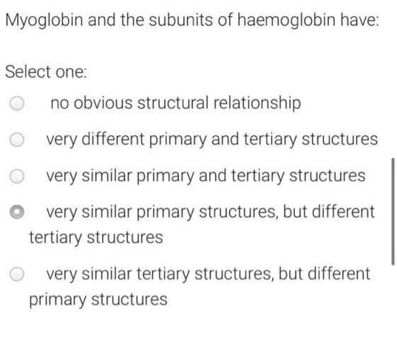 Myoglobin and the subunits of haemoglobin have: Select one: O no obvious structural relationship o very different primary and