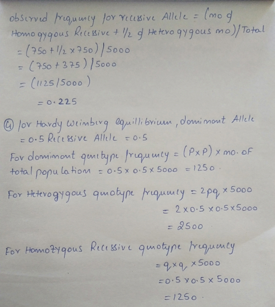 observed frequency for recessive Allele = (mod Homogygous Recessive + 2 of Heterogy gous mo)/Total = (750+1/2 x 750)/5000 = (