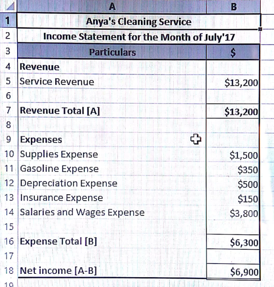 Anyas cleaning Service 2 Income Statement for the Month of July17 Particulars 4 Revenue 5 Service Revenue $13,200 7 Revenue