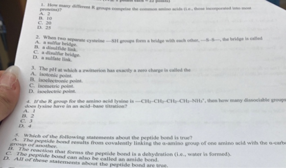 1. How many different erent groups comprise the common amino acids (ie those incorporated into most groups comprise the com p