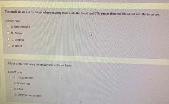 The small air sacs in the lungs where oxygen passes into the blood and CO2 passes from the blood out into the lungs are: Sele