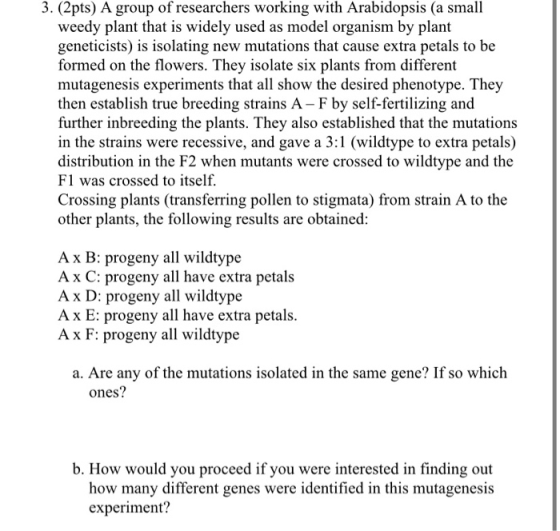3. (2pts) A group of researchers working with Arabidopsis (a small weedy plant that is widely used as model organism by plant