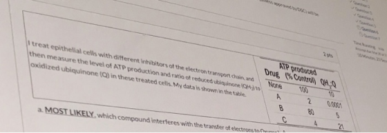 treat epithelial cells with different inhibitors of the electron transport chain, and then measure the level of ATP productio