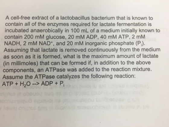 A cell-free extract of a lactobacillus bacterium t