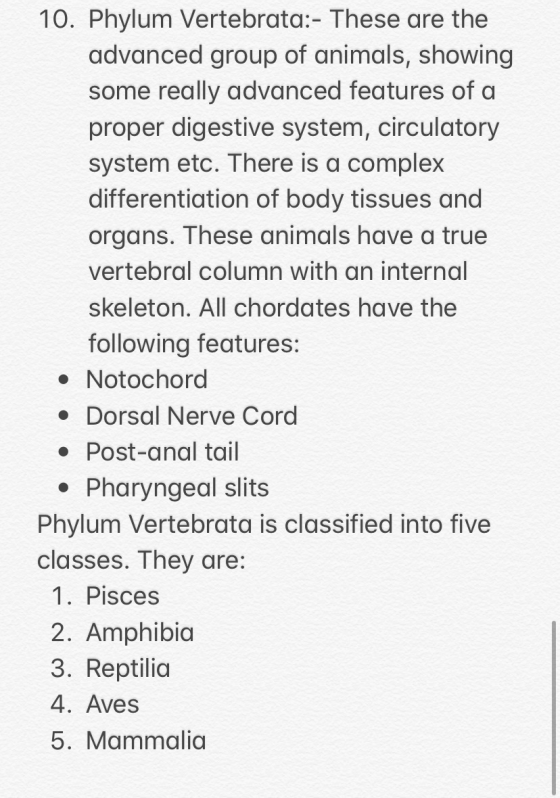 10. Phylum Vertebrata:- These are the advanced group of animals, showing some really advanced features of a proper digestive
