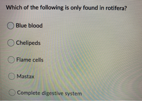Which of the following is only found in rotifera? Blue blood Chelipeds Flame cells O Mastax Complete digestive system