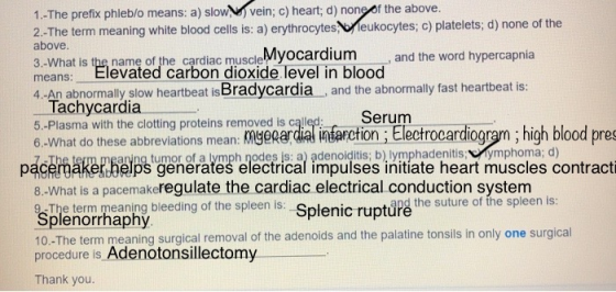 1.-The prefix phleb/o means: a) slow vein; c) heart; d) none of the above. 2.-The term meaning white blood cells is: a) eryth