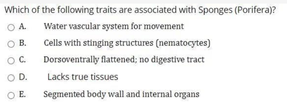 Which of the following traits are associated with Sponges (Porifera)? A. Water vascular system for movement Cells with stingi