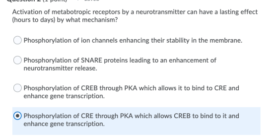 LULJLIUILL1 PUNILI OD Activation of metabotropic receptors by a neurotransmitter can have a lasting effect (hours to days) by