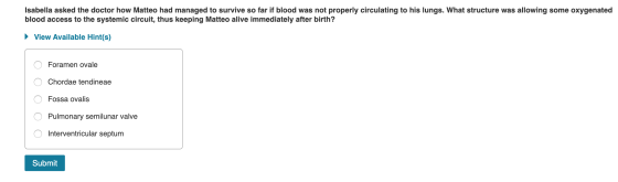 Isabella asked the doctor how Matteo had managed to survive so far if blood was not properly circulating to his lungs. What s