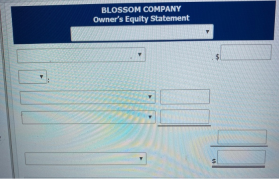 BLOSSOM COMPANY Owners Equity Statement