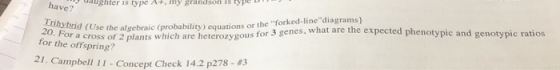 have? aughter is type A+, my grandson is type 20. For Use the algebraic (probability equations or the forked-line diagrams)